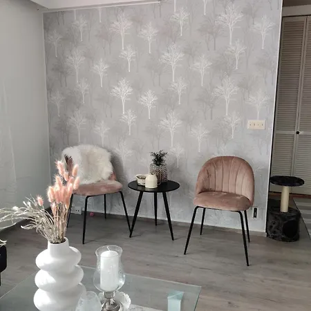 Entire Cozy Detached House Near Center شقة